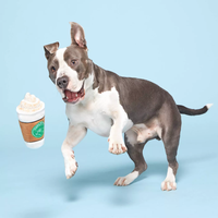 BARK Cup Of Bark Roast Coffee Cup Dog Toy