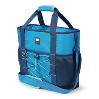Arctic Zone 30Can Insulated Sport Tote BLUE