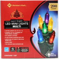 MEMBER'S MARK LED Mini Lights, 200 Count in Multicolor